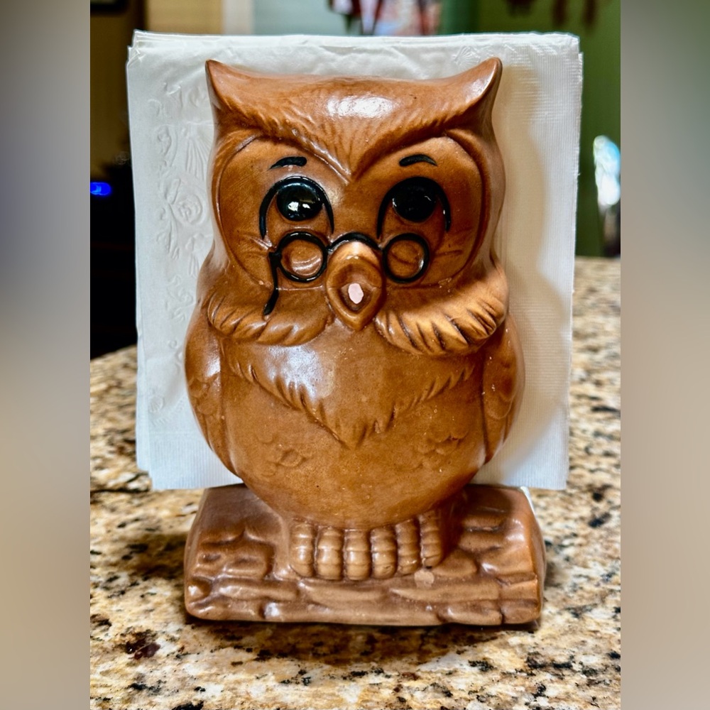 Rare Vintage Twin Winton Scholar Owl Napkin Holder.